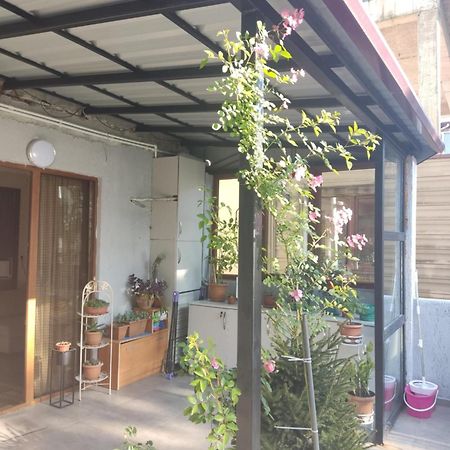 Apartment Agmashenebeli 99 Кобулети Екстериор снимка